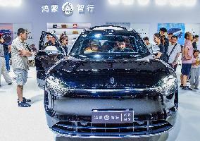 13th Nanning International Automobile Exhibition in Nanning