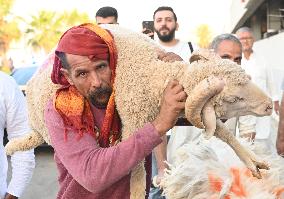 KUWAIT-CAPITAL GOVERNORATE-EID AL-ADHA-MARKET