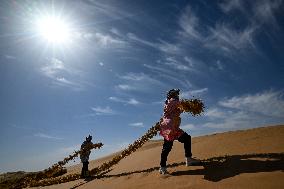 Chinese Experience in Desert Controi