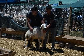 T?RKIYE-ANKARA-LIVESTOCK-MARKET