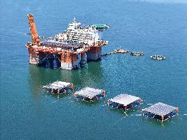 An Offshore PV Demonstration Base and Floating PV Platform in Operation in Yantai