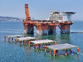 An Offshore PV Demonstration Base and Floating PV Platform in Operation in Yantai