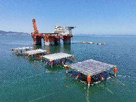 An Offshore PV Demonstration Base and Floating PV Platform in Operation in Yantai