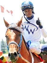 Thoroughbred Horse Racing At Woodbine Racetrack - June 16, 2024