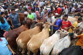 BANGLADESH-SIRAJGANJ-CATTLE MARKET-EID AL-ADHA