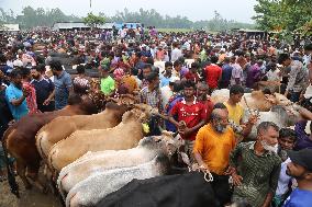 BANGLADESH-SIRAJGANJ-CATTLE MARKET-EID AL-ADHA