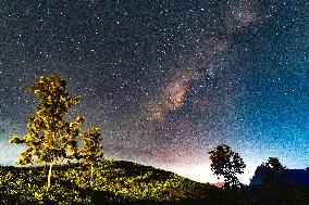 Milky Way Seen Over The Tea Estate In Ratnapura, Sri Lanka