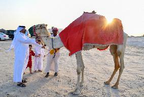 Eid Al-Adha 2024 Celebration In Qatar