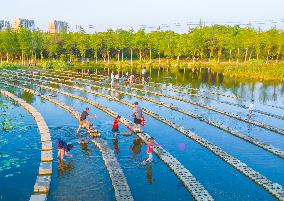 Tourists Enjoy Cool Water in Suqian