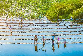 Tourists Enjoy Cool Water in Suqian