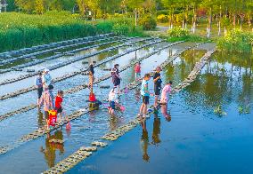 Tourists Enjoy Cool Water in Suqian