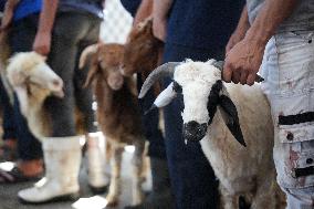Muslims Sacrifice Animals On The Second Day Of Eid Al-Adha
