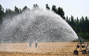 Agricultural Drought Resistance