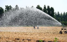 Agricultural Drought Resistance