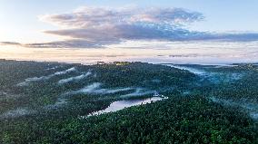 Wuying National Forest Park Scenery in Yichun