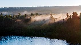 Wuying National Forest Park Scenery in Yichun