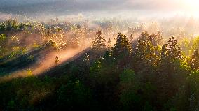 Wuying National Forest Park Scenery in Yichun