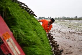 CHINA-RICE PLANTING-SMART AGRICULTURE (CN)