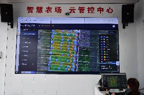 CHINA-RICE PLANTING-SMART AGRICULTURE (CN)