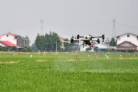 CHINA-RICE PLANTING-SMART AGRICULTURE (CN)