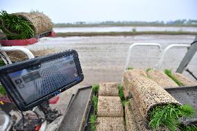 CHINA-RICE PLANTING-SMART AGRICULTURE (CN)