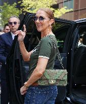 Celine Dion Is All Smiles While Out - NYC