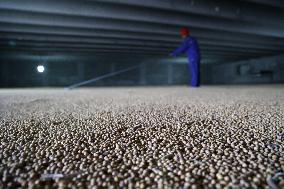 Grain Storage in Binzhou