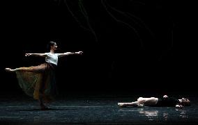 Pre-premiere press preview of Elegy of Wartime ballet in Kyiv