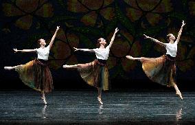 Pre-premiere press preview of Elegy of Wartime ballet in Kyiv