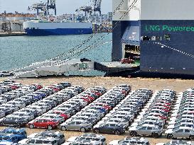 Yantai Port Vehicles Export