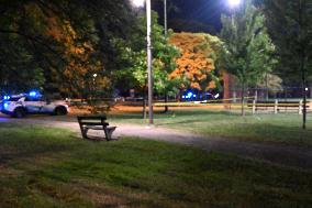 18-Year-Old Male Victim Shot At Chopin Park In Chicago Illinois