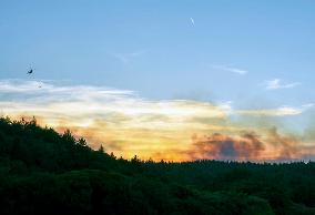 T?RKIYE-CANAKKALE-FOREST FIRE