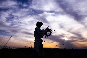 Summer Solstice Celebration In Poland