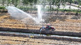 Villagers Carry Out Irrigation Work in Lianyungang, China