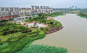 CHINA-SHAANXI-FUPING COUNTY-ECOLOGICAL ENVIRONMENT-PROTECTION (CN)