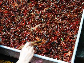 Crayfish Supply