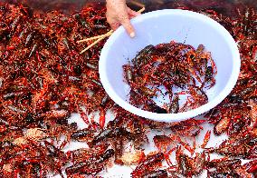 Crayfish Supply