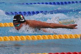 Swimming race - LX Trofeo Sette Colli IP