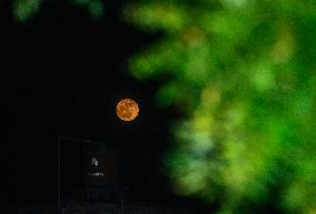 Full Moon Strawberry Moon In India