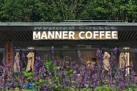 MANNER COFFEE