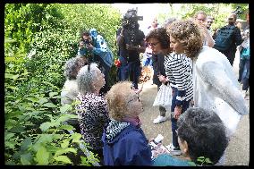 Rachida Dati On Visit To Support Celine Calvez Candidate In Legislative Elections - Levallois Perret