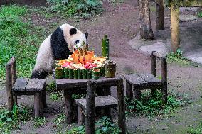 Giant Pandass Eat Hot Pot Cake To Celebrate Their 5th Birthday at Chongqing Zoo