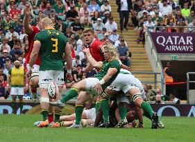 South Africa v Wales  - Qatar Airways Cup