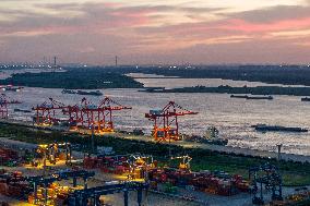 Nanjing Port Container Throughput Growth