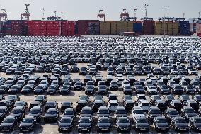 Nanjing Port Vehicles Export Growth