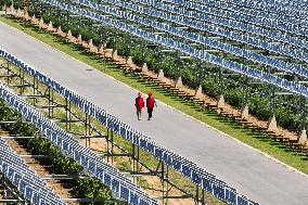 Photovoltaic Module Inspection in Yinchuan