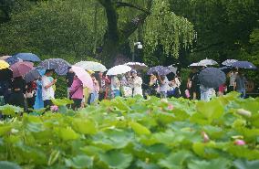 Rainstorm Red Alert in China