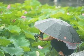 Rainstorm Red Alert in China