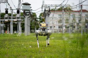 Robot Inspect 500 KV Substation