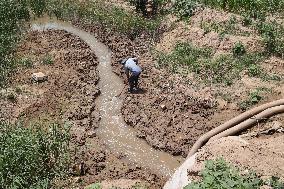 Yellow River Drought-resistant